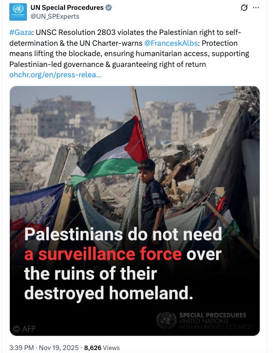 UN Special Procedures UNSC Resolution in violation w int law