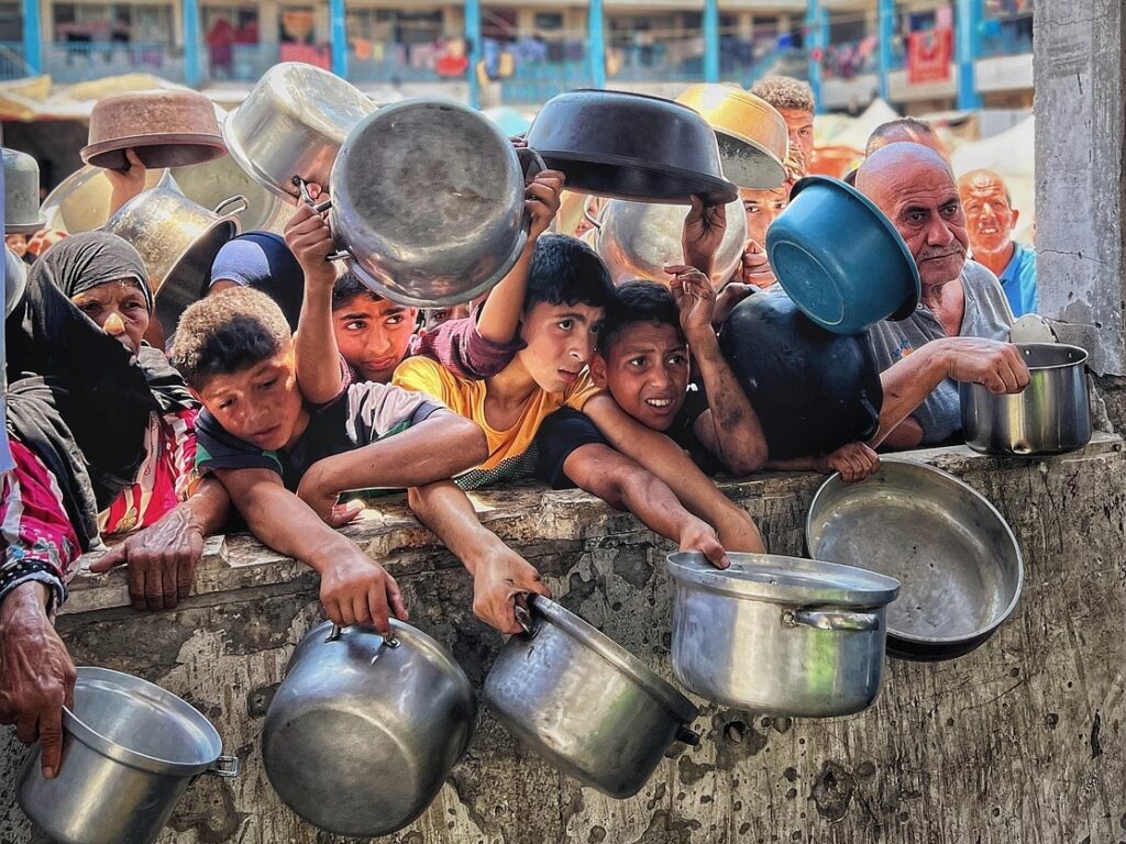 Hosny Salah palestine 8876954